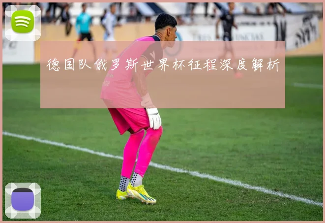 德国队俄罗斯世界杯征程深度解析