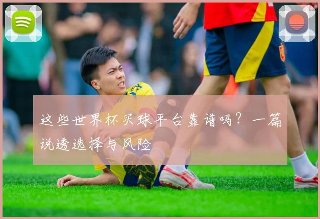 这些世界杯买球平台靠谱吗？一篇说透选择与风险
