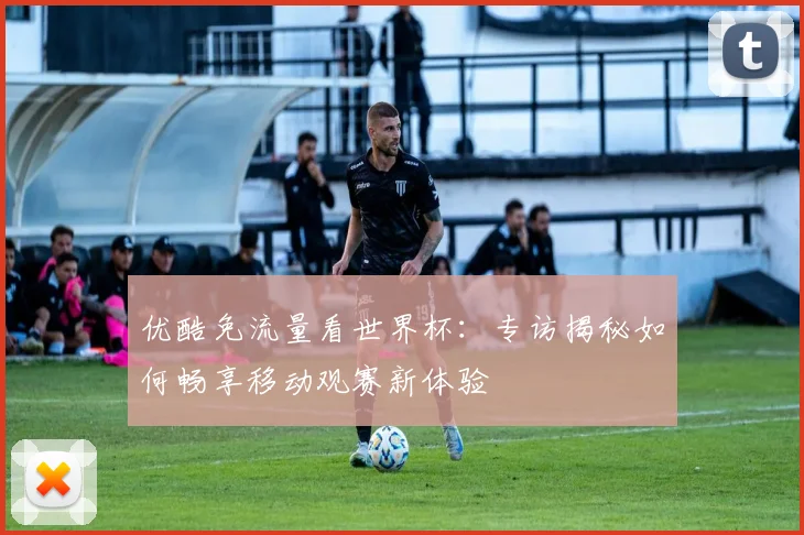 优酷免流量看世界杯:专访揭秘如何畅享移动观赛新体验