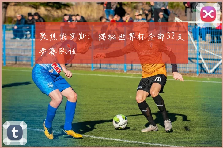 聚焦俄罗斯:揭秘世界杯全部32支参赛队伍