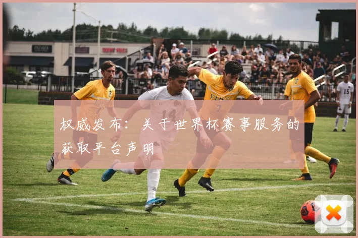 权威发布：关于世界杯赛事服务的获取平台声明