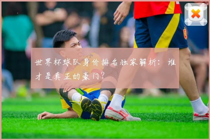 世界杯球队身价排名独家解析：谁才是真正的豪门？