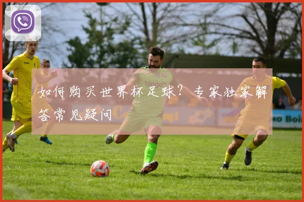 如何购买世界杯足球？专家独家解答常见疑问