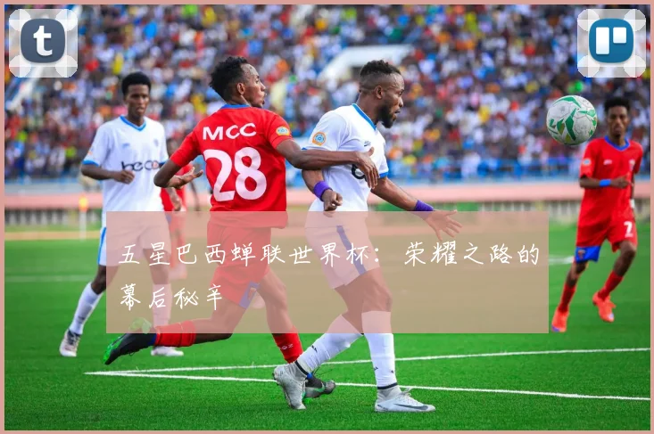 五星巴西蝉联世界杯：荣耀之路的幕后秘辛