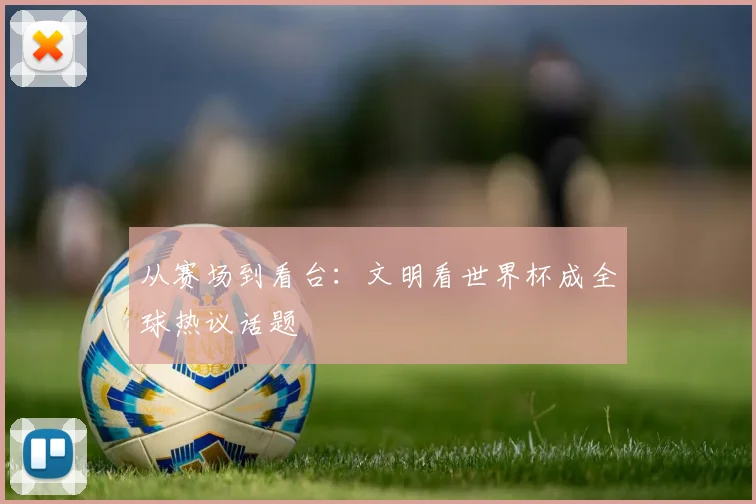 从赛场到看台：文明看世界杯成全球热议话题