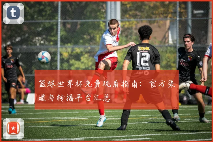 篮球世界杯免费观看指南：官方渠道与转播平台汇总